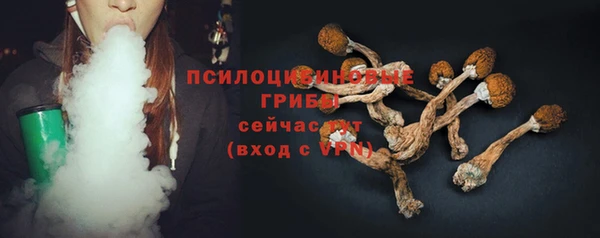 МДМА Горнозаводск
