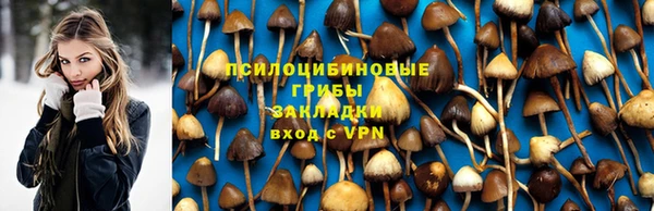 крисы Горно-Алтайск