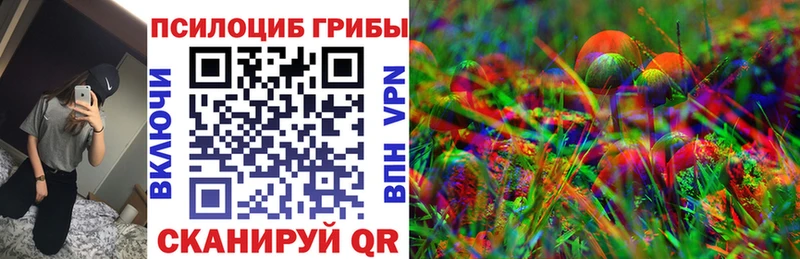 Псилоцибиновые грибы Psilocybe  Купить  Чита 